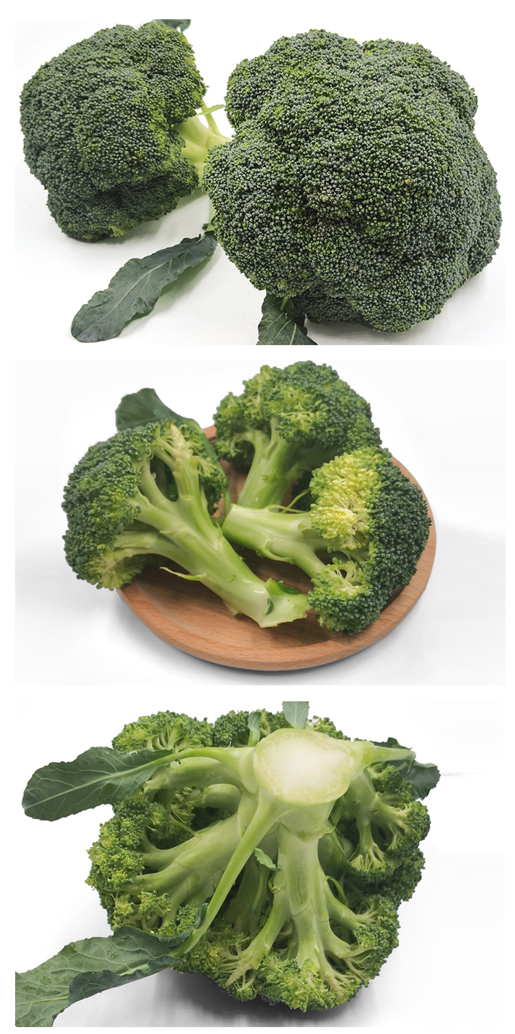 西蓝花 - 龙泉供销e城 - 高山蔬菜送到家